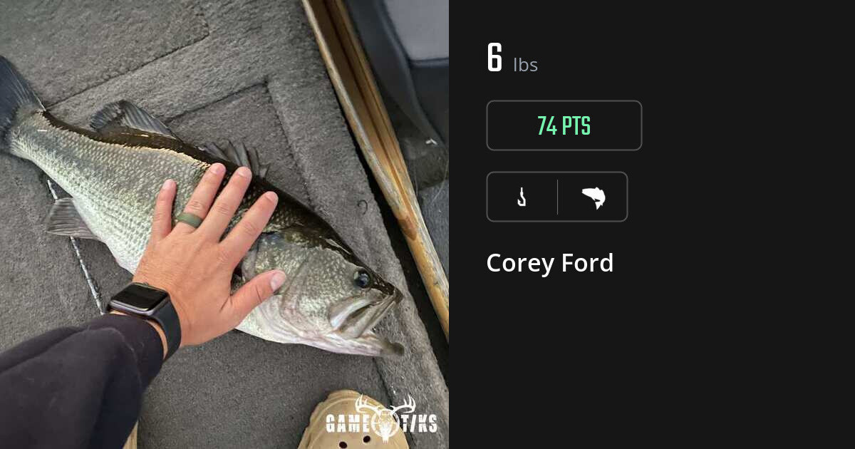 saltwater_fish harvest by Corey Ford