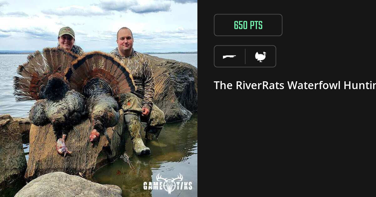 Turkey harvest on Gametiks
