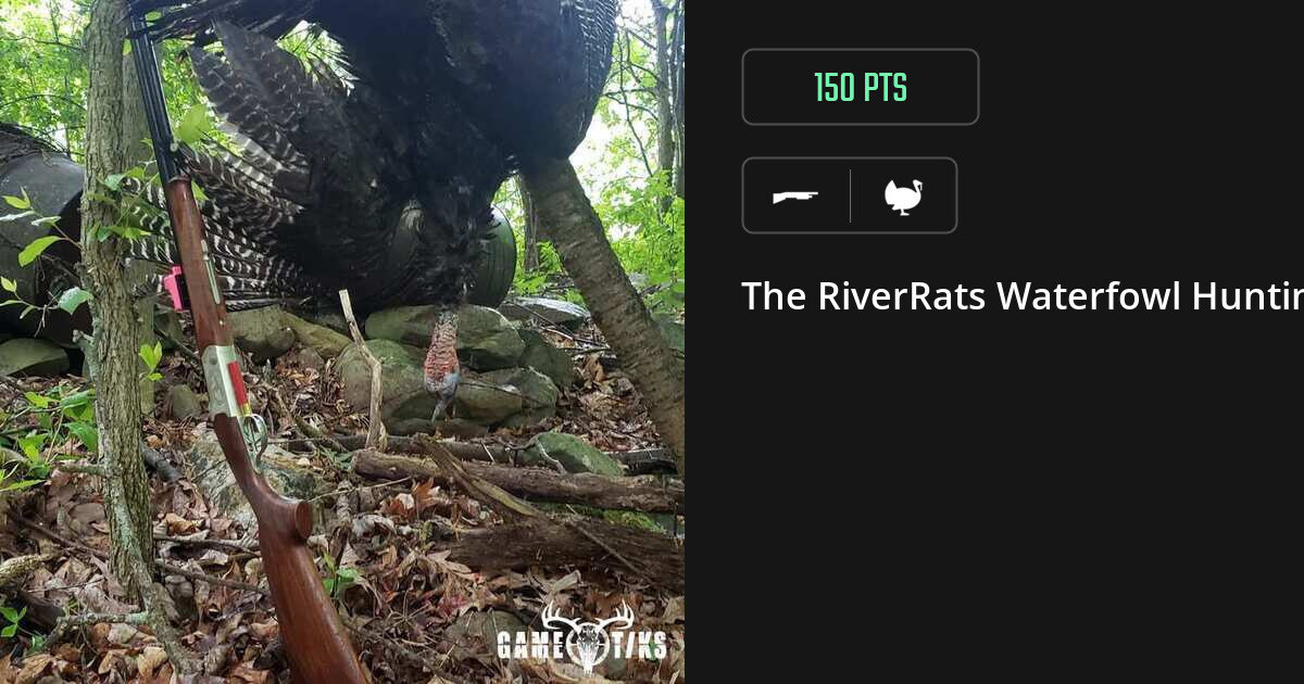 Turkey harvest on Gametiks