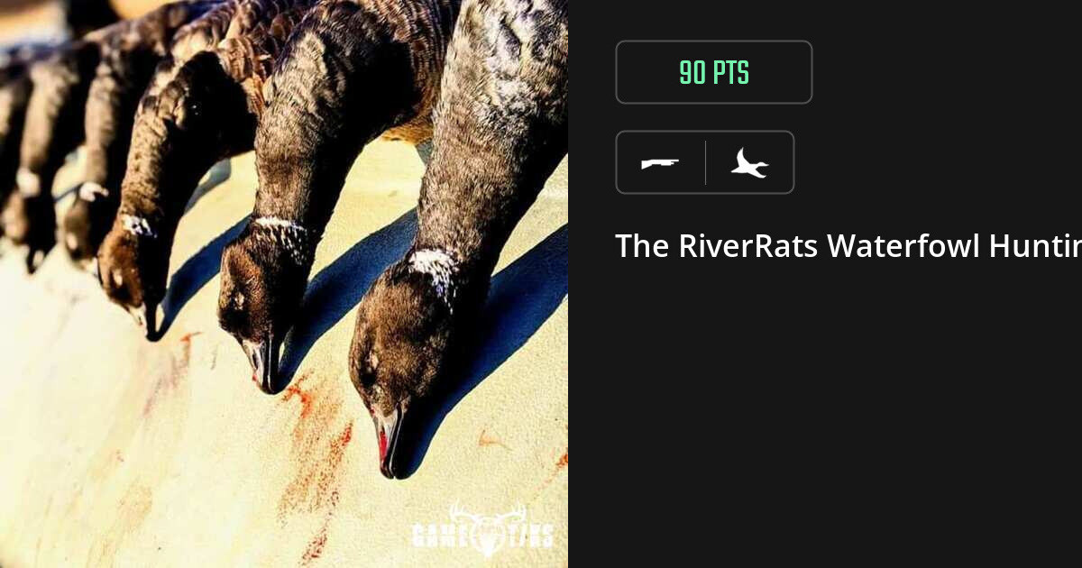 Waterfowl harvest on Gametiks
