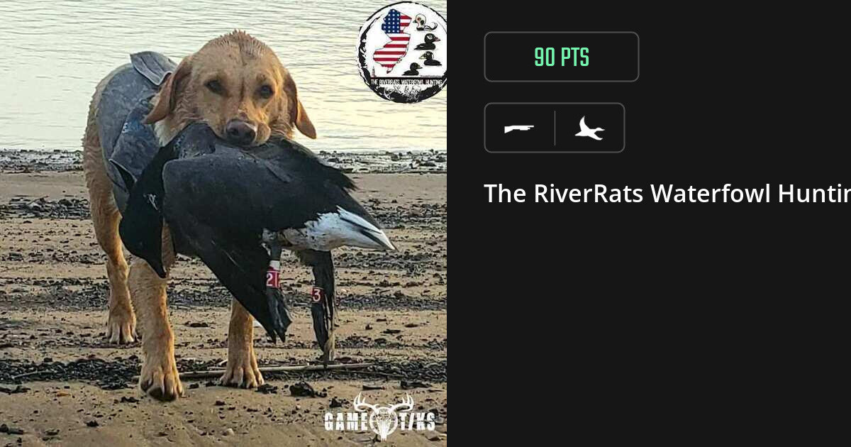 Waterfowl harvest on Gametiks