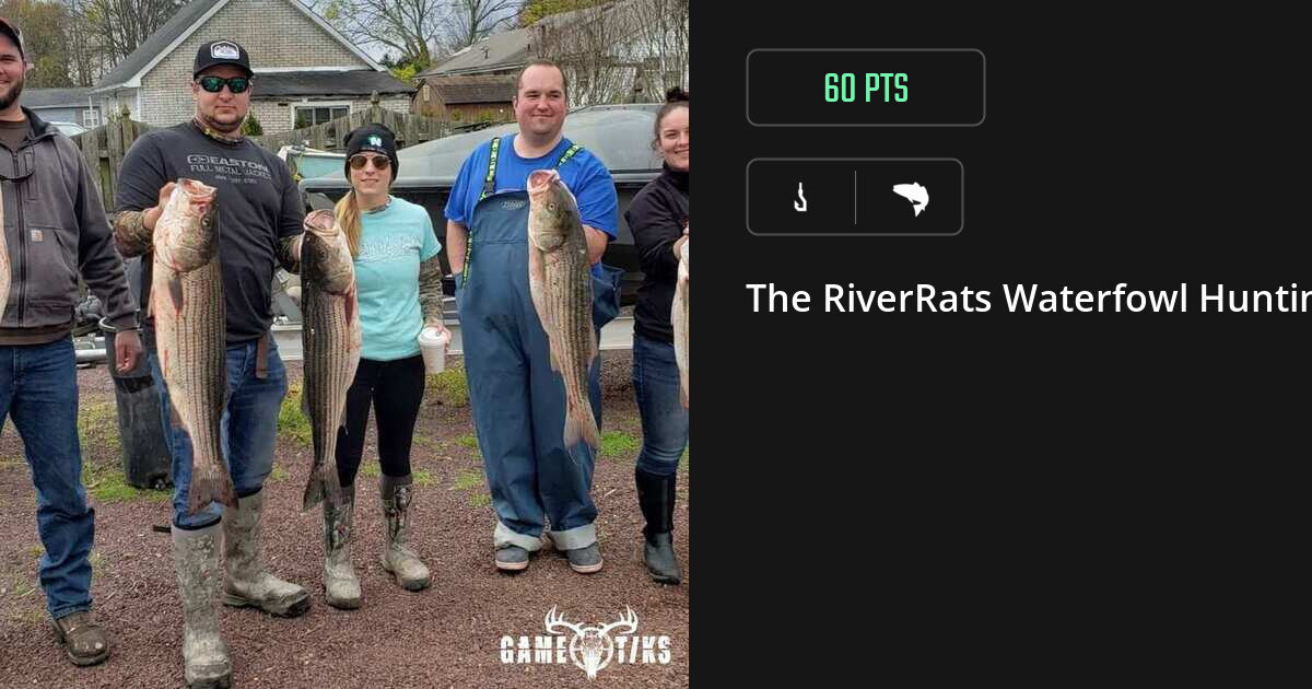 Saltwater fish harvest on Gametiks