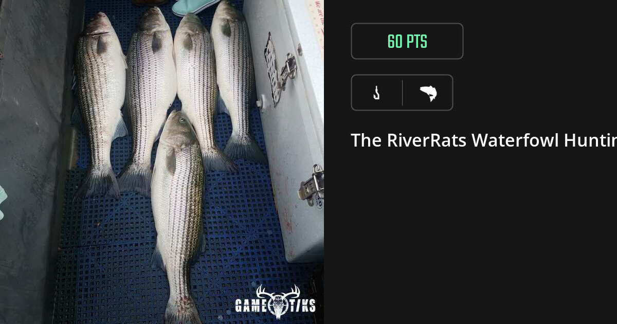 Saltwater fish harvest on Gametiks