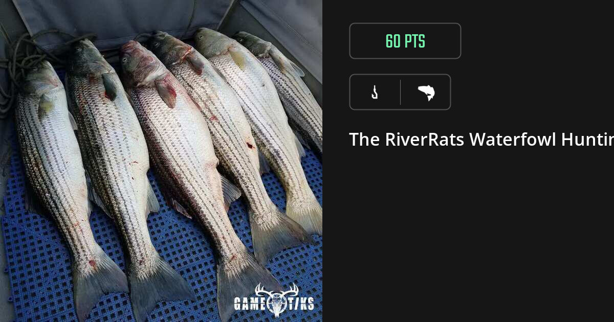 Saltwater fish harvest on Gametiks