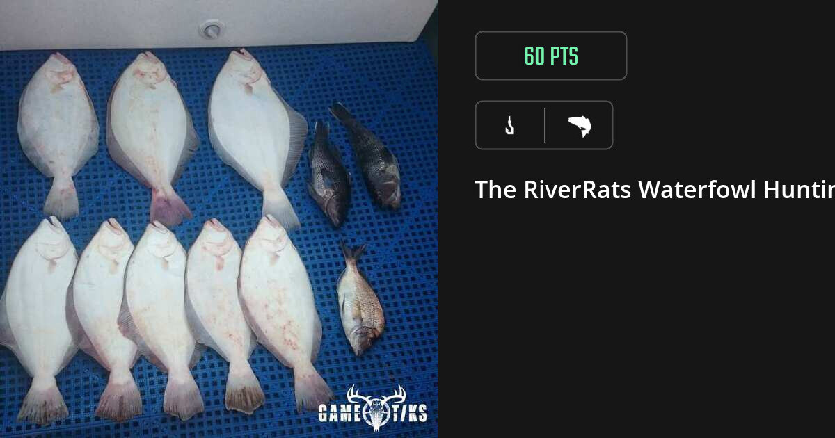 Saltwater fish harvest on Gametiks