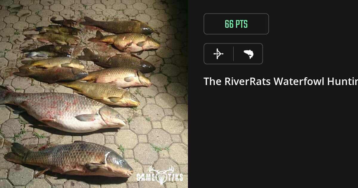 Saltwater fish harvest on Gametiks