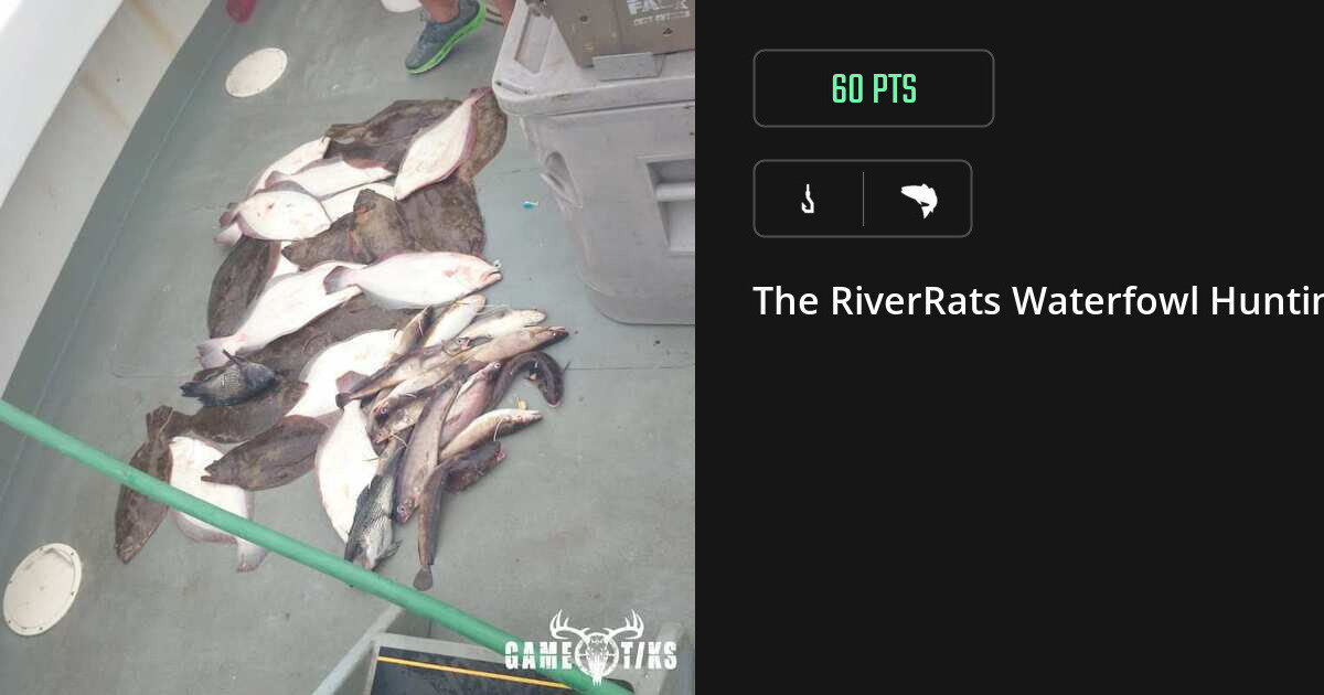 Saltwater fish harvest on Gametiks
