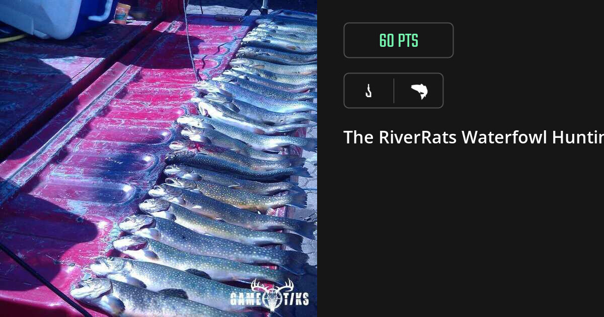 Saltwater fish harvest on Gametiks