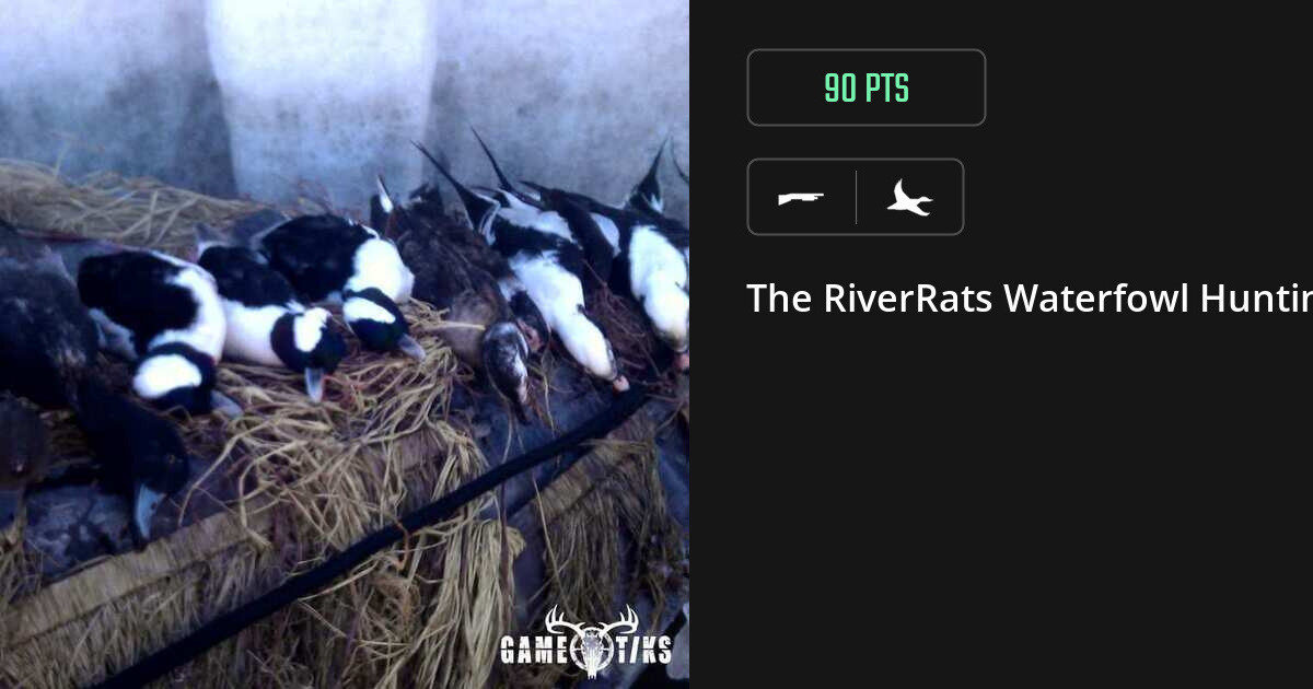 Waterfowl harvest on Gametiks
