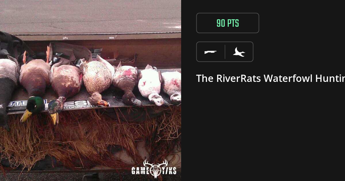 Waterfowl harvest on Gametiks
