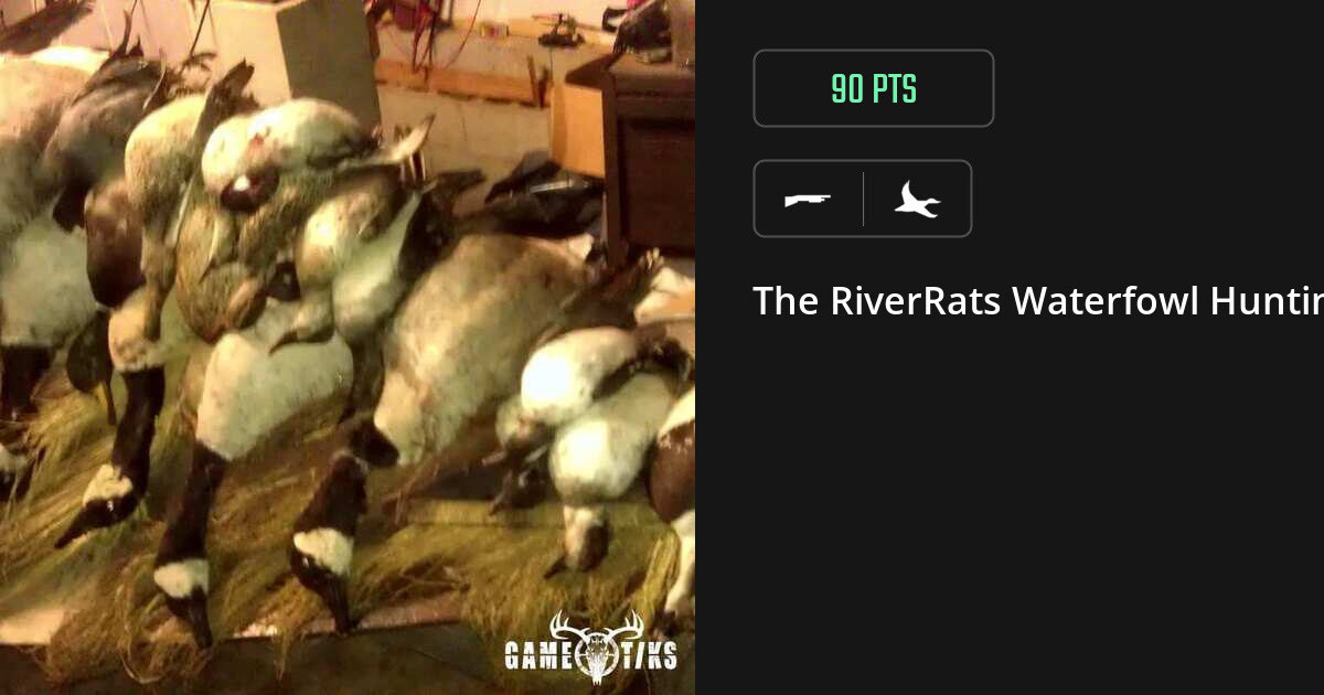 Waterfowl harvest on Gametiks