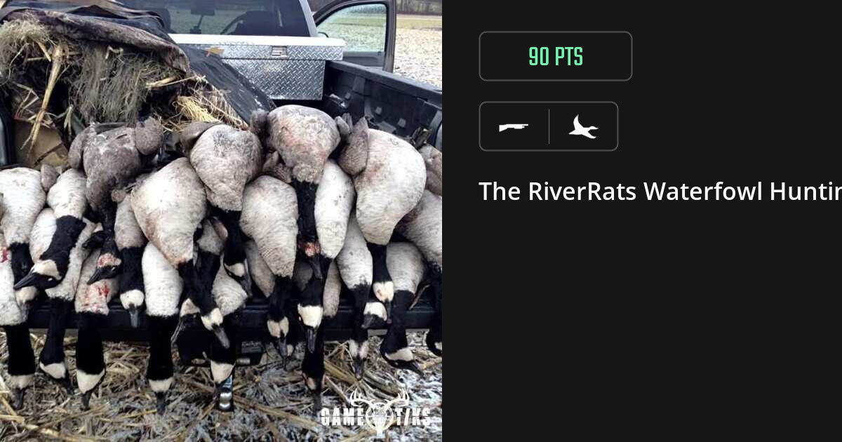 Waterfowl harvest on Gametiks