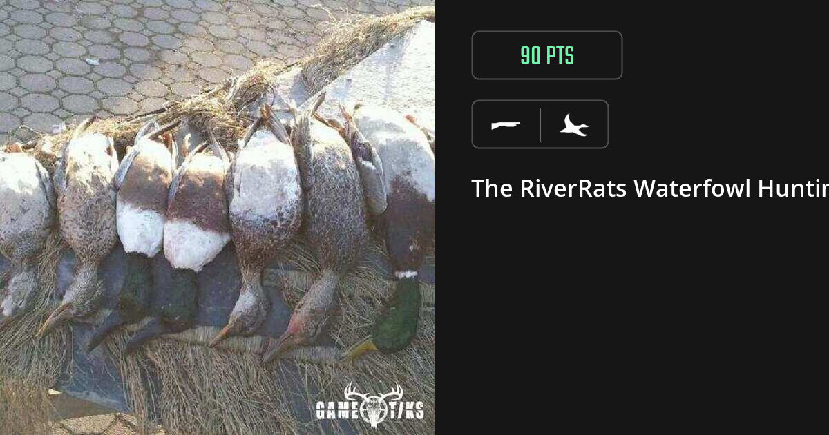Waterfowl harvest on Gametiks