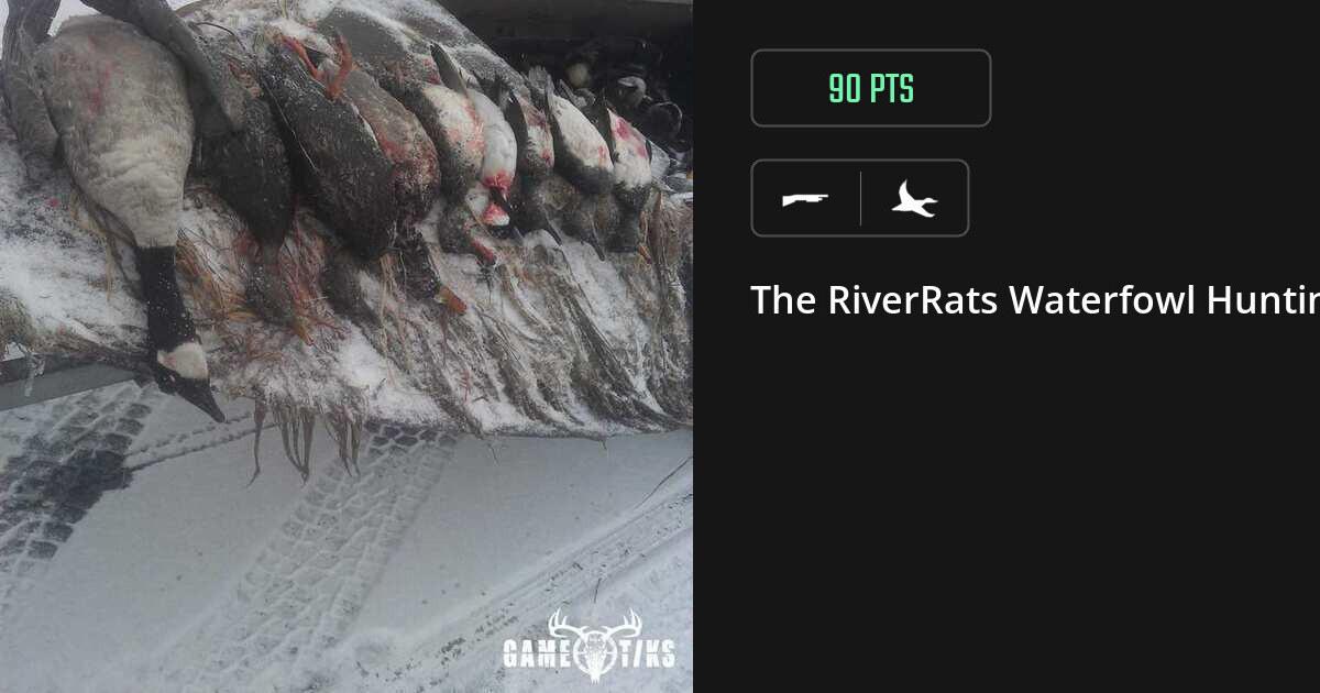 Waterfowl harvest on Gametiks