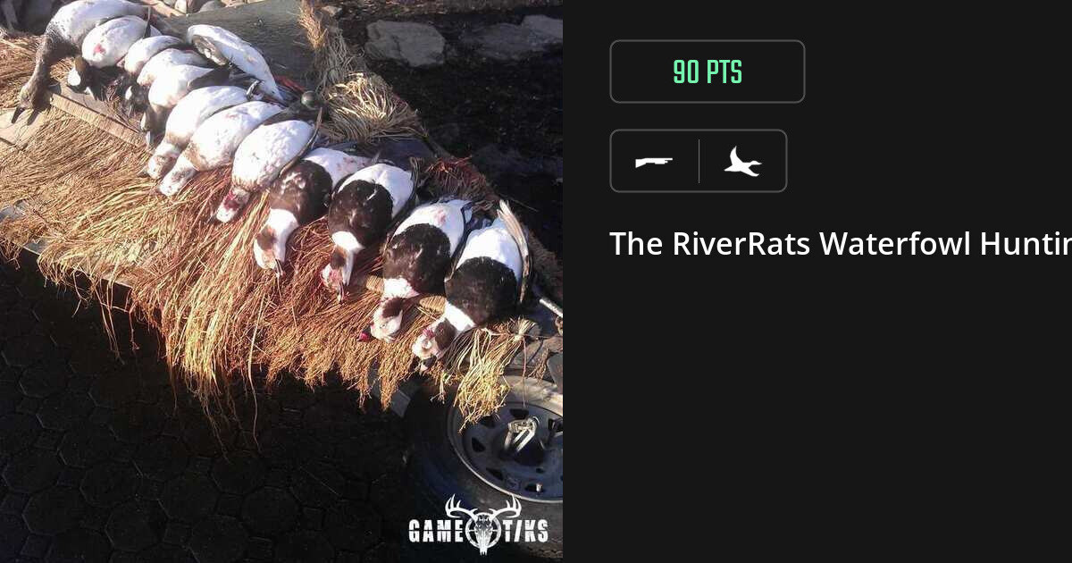 Waterfowl harvest on Gametiks