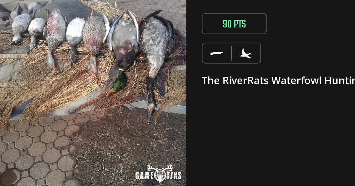 Waterfowl harvest on Gametiks