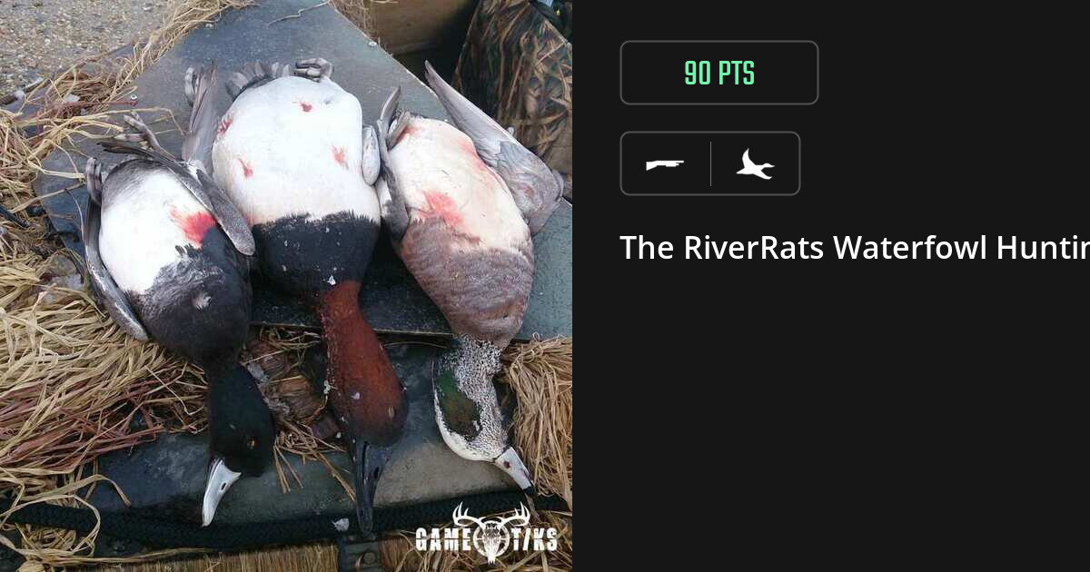 Waterfowl harvest on Gametiks