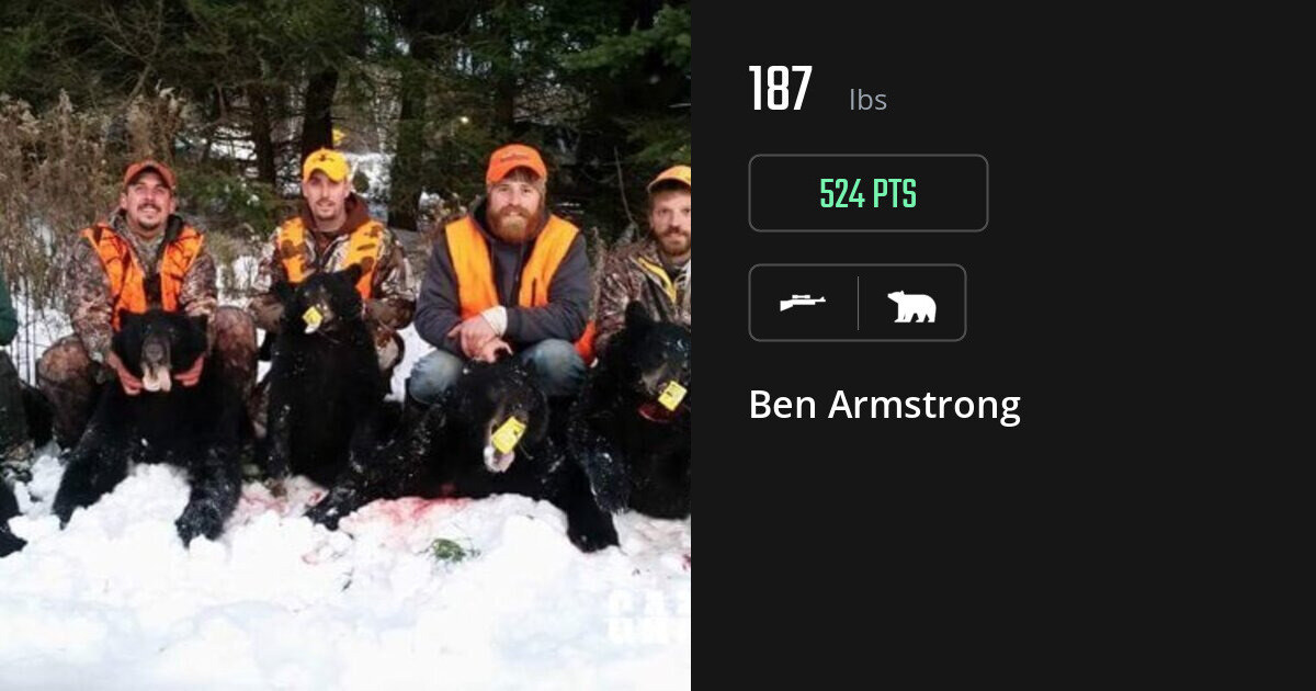 Bear harvest on Gametiks