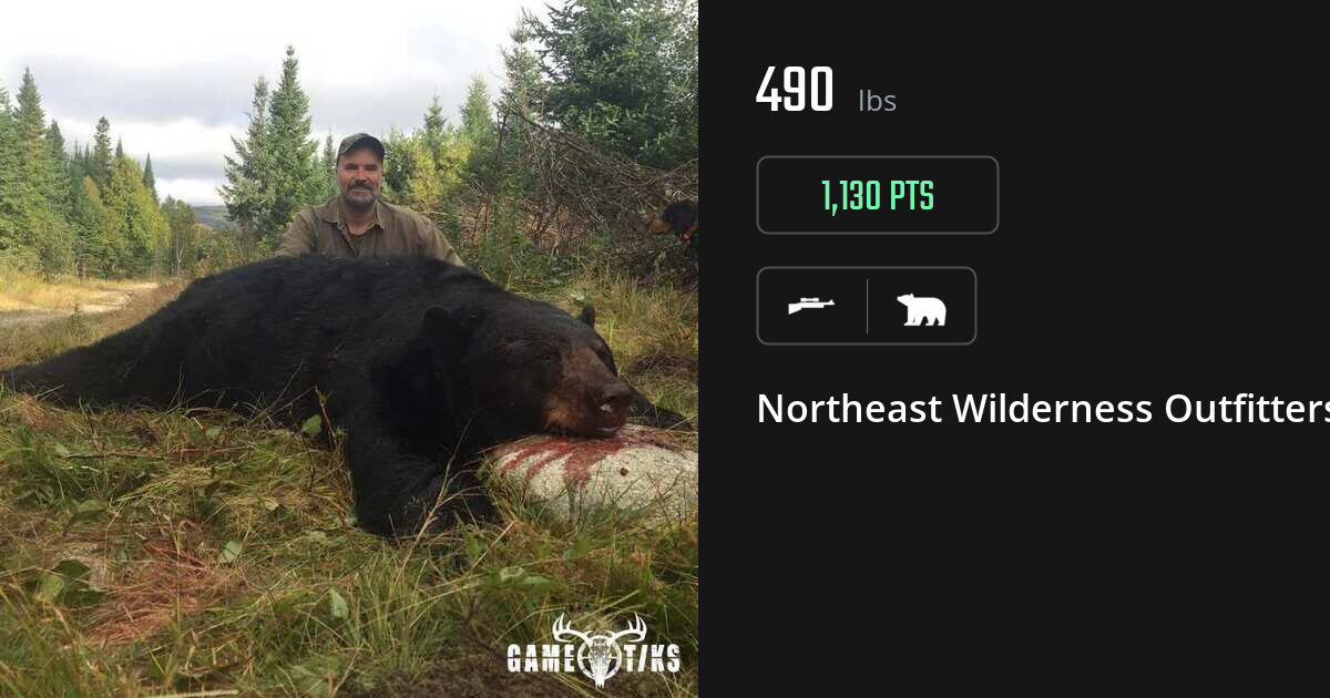 Bear harvest on Gametiks