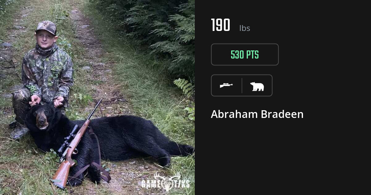 Bear harvest on Gametiks