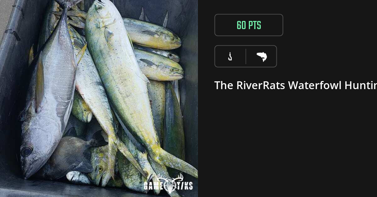 Saltwater fish harvest on Gametiks