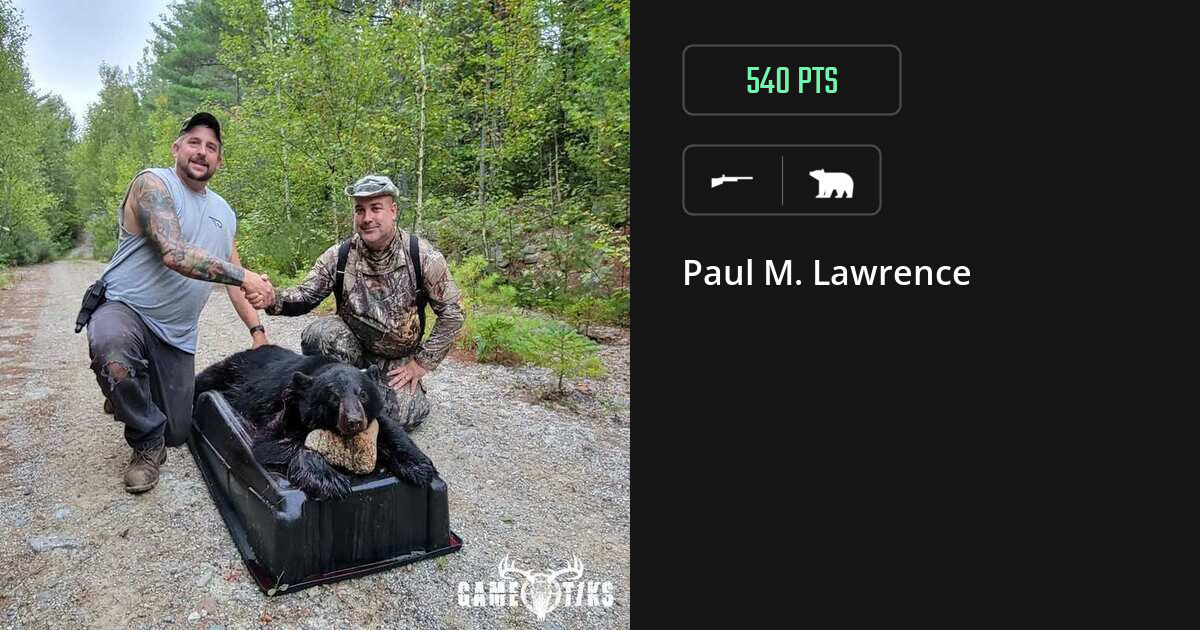bear harvest by Paul M. Lawrence