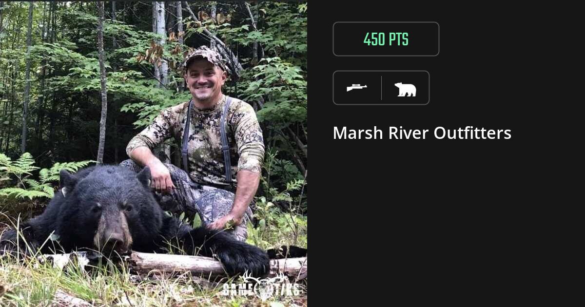 Bear harvest on Gametiks