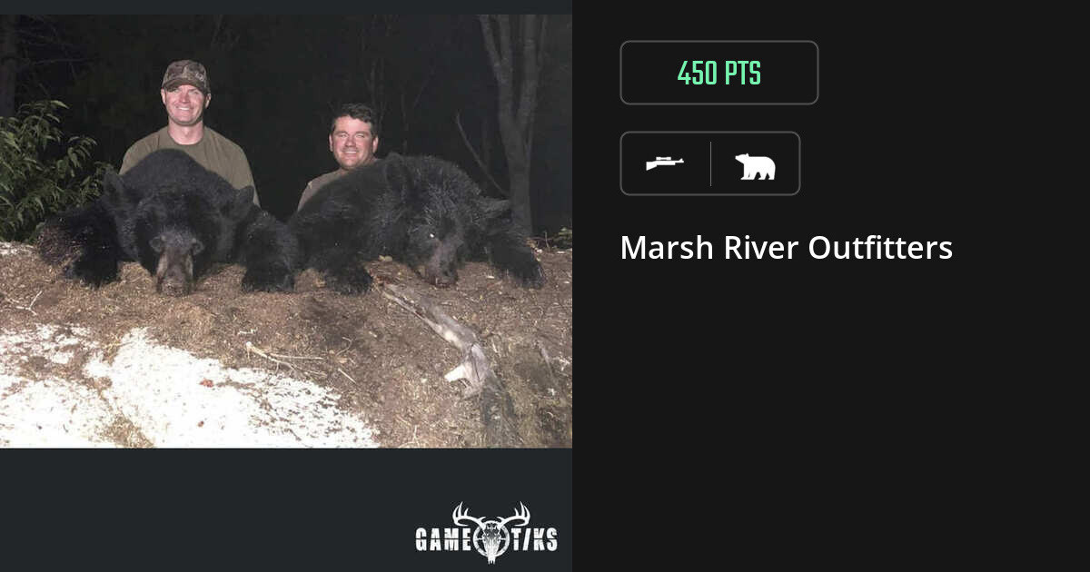 Bear harvest on Gametiks