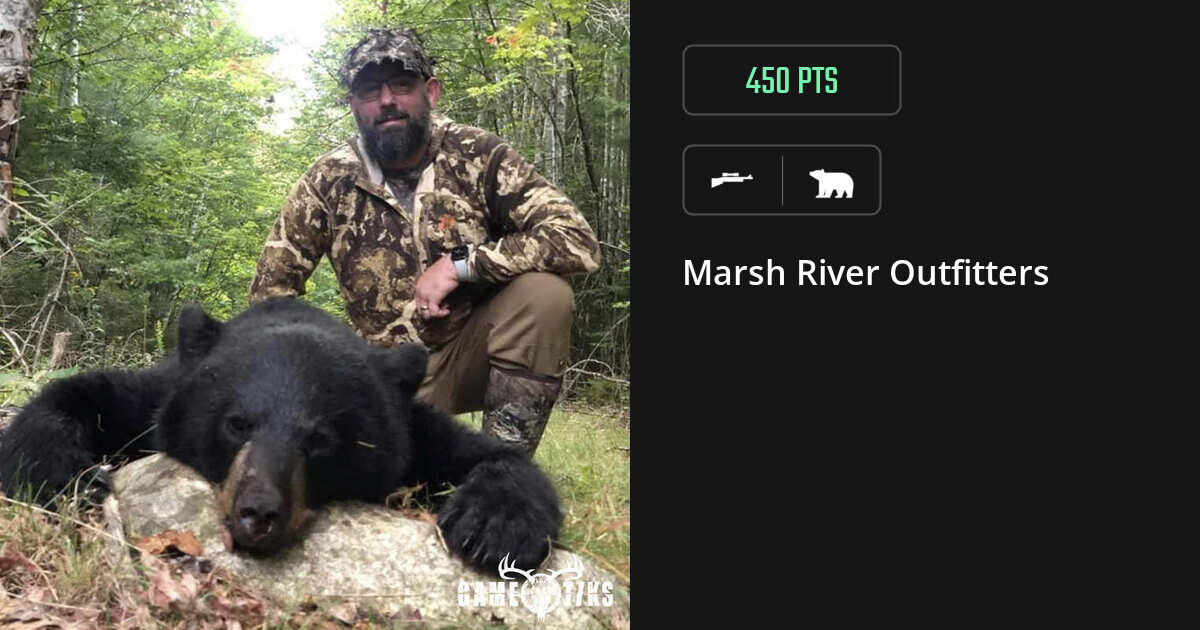 Bear harvest on Gametiks