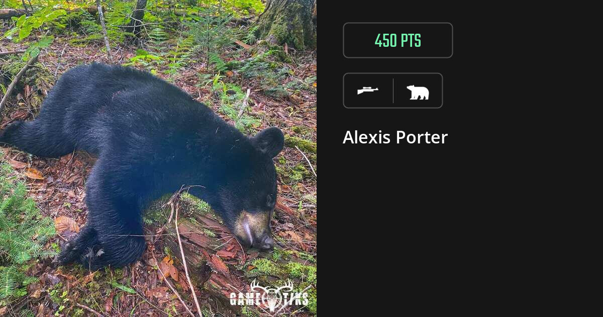 Bear harvest on Gametiks