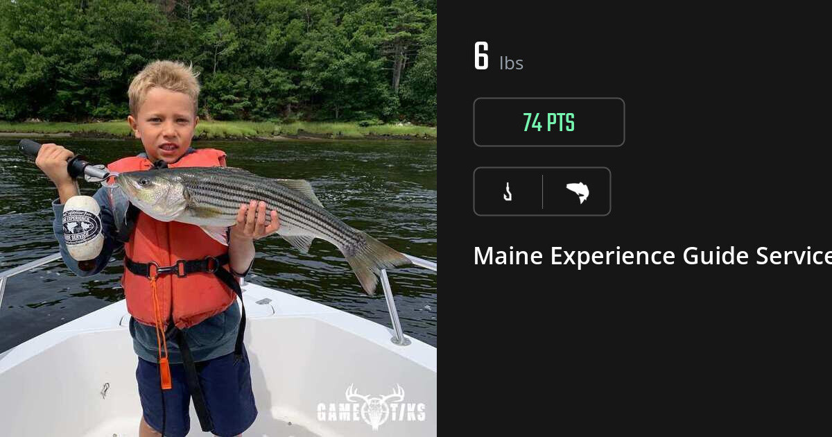 Saltwater fish harvest on Gametiks