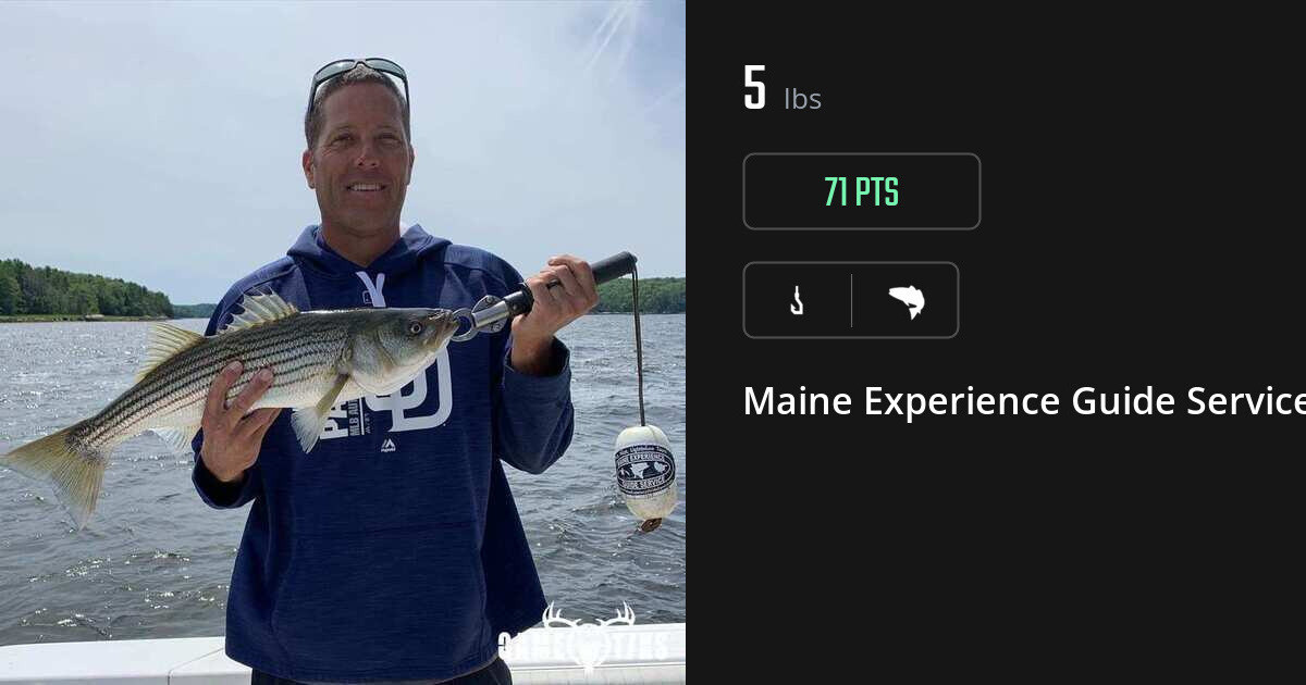 Saltwater fish harvest on Gametiks