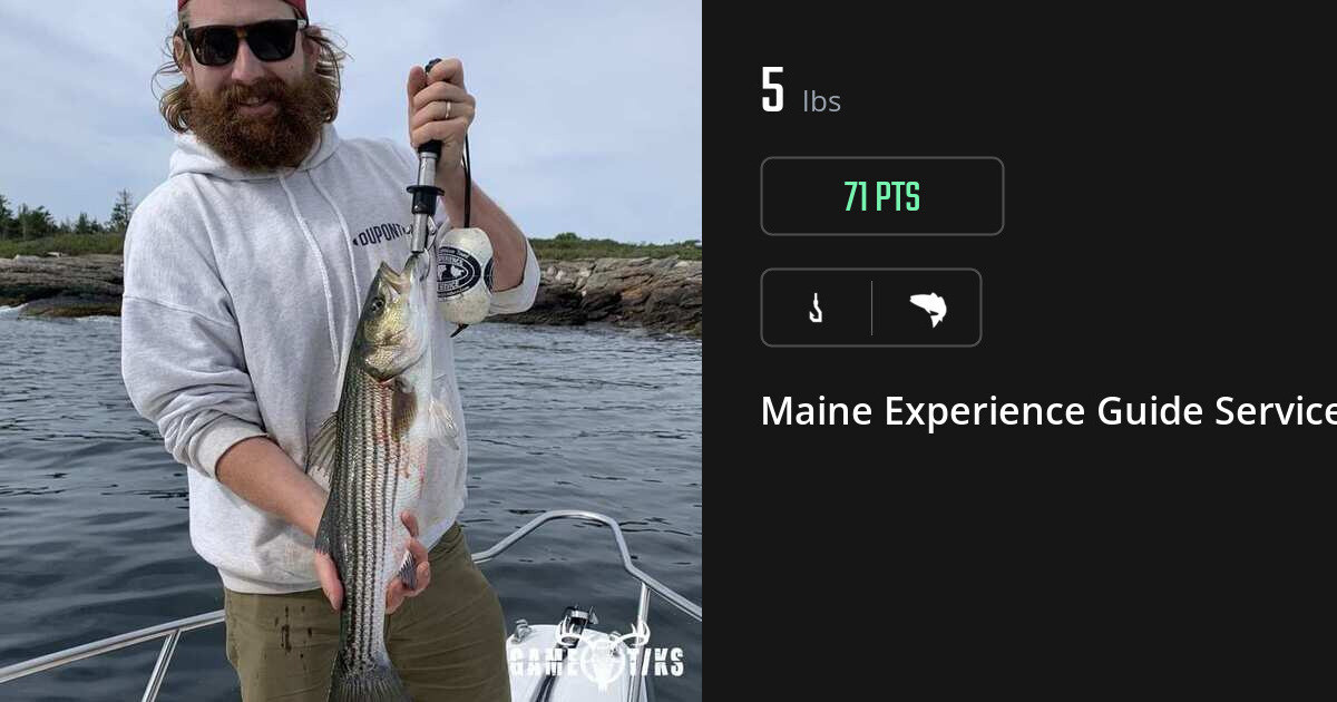 Saltwater fish harvest on Gametiks