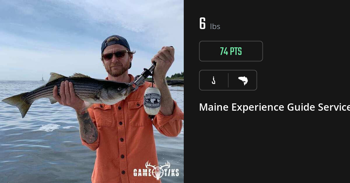 Saltwater fish harvest on Gametiks