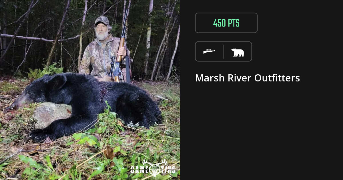 Bear harvest on Gametiks