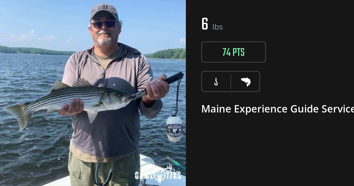 Saltwater fish harvest on Gametiks