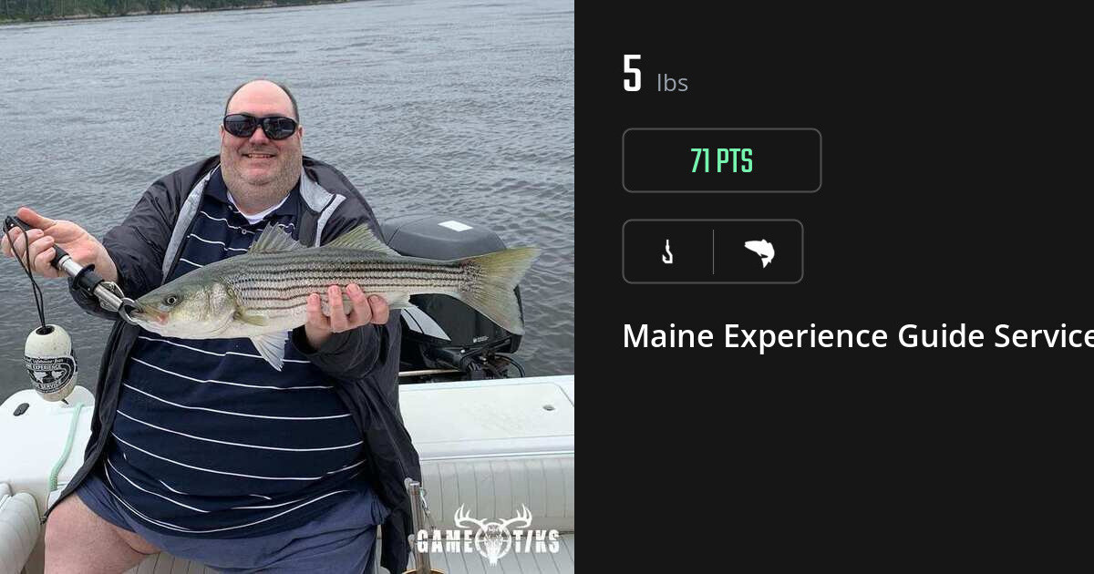 Saltwater fish harvest on Gametiks