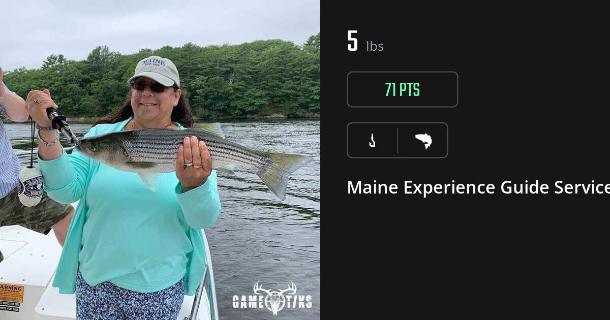 Saltwater fish harvest on Gametiks