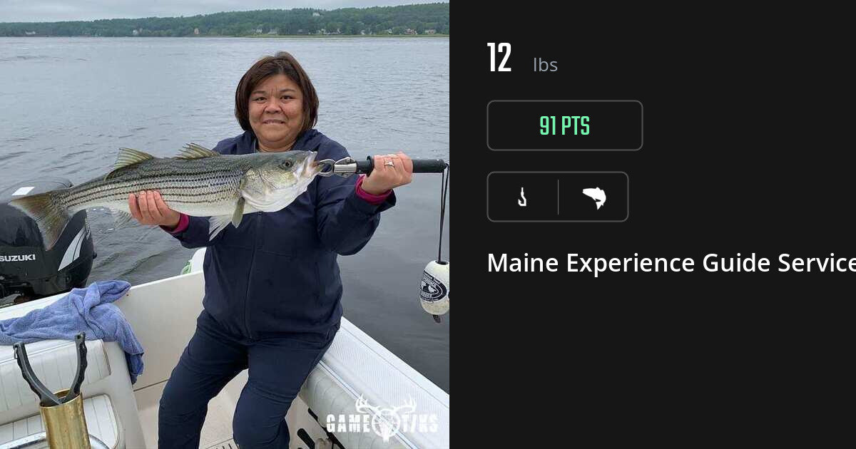 Saltwater fish harvest on Gametiks