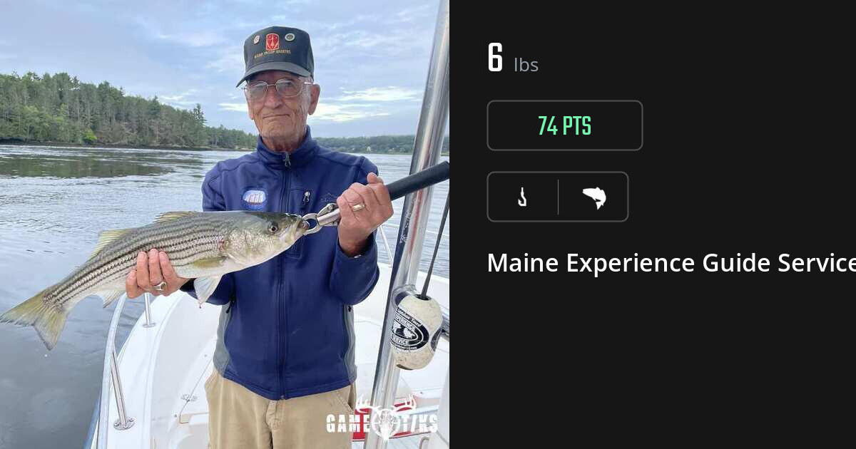 Saltwater fish harvest on Gametiks
