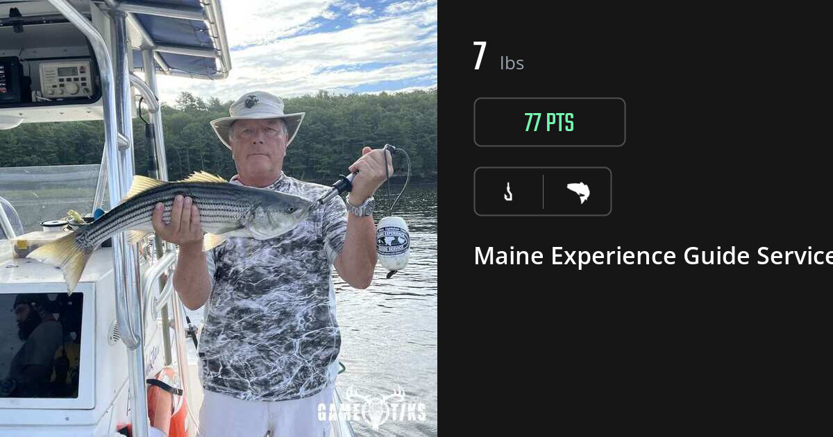 Saltwater fish harvest on Gametiks