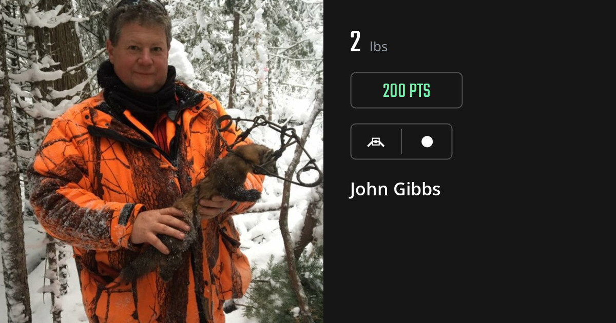 Miscellaneous harvest on Gametiks