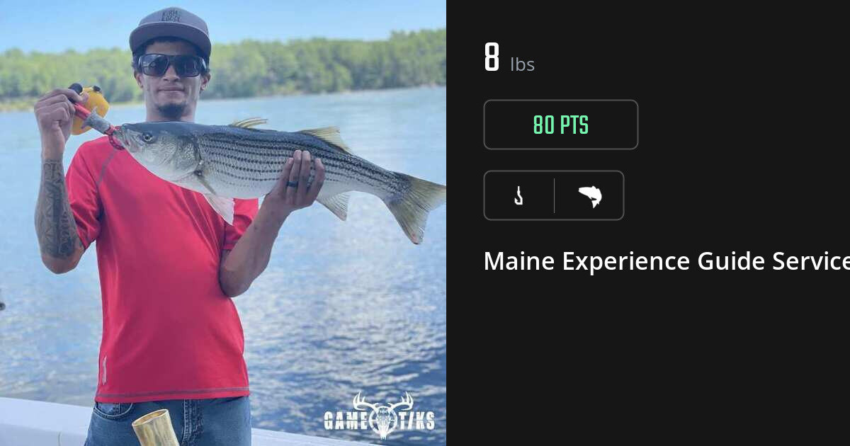 Saltwater fish harvest on Gametiks
