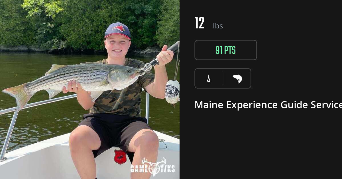 Saltwater fish harvest on Gametiks