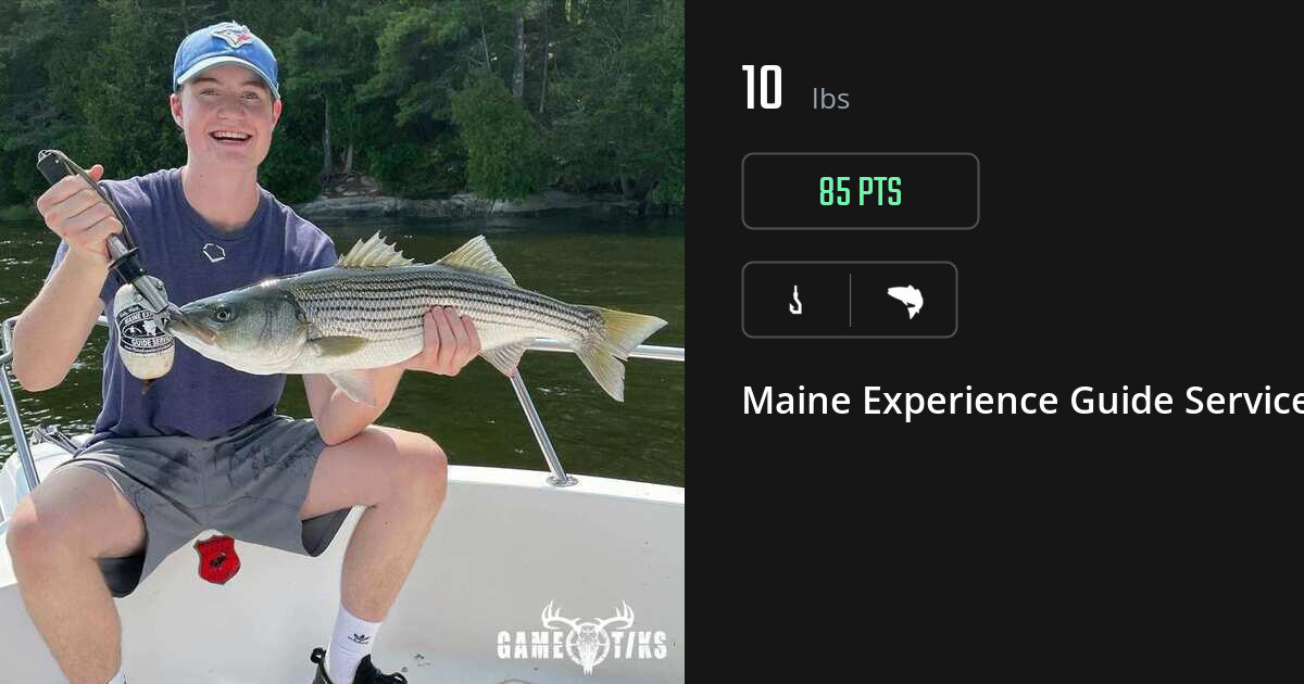 Saltwater fish harvest on Gametiks