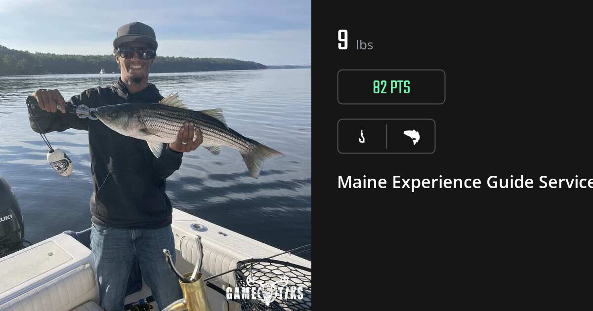Saltwater fish harvest on Gametiks