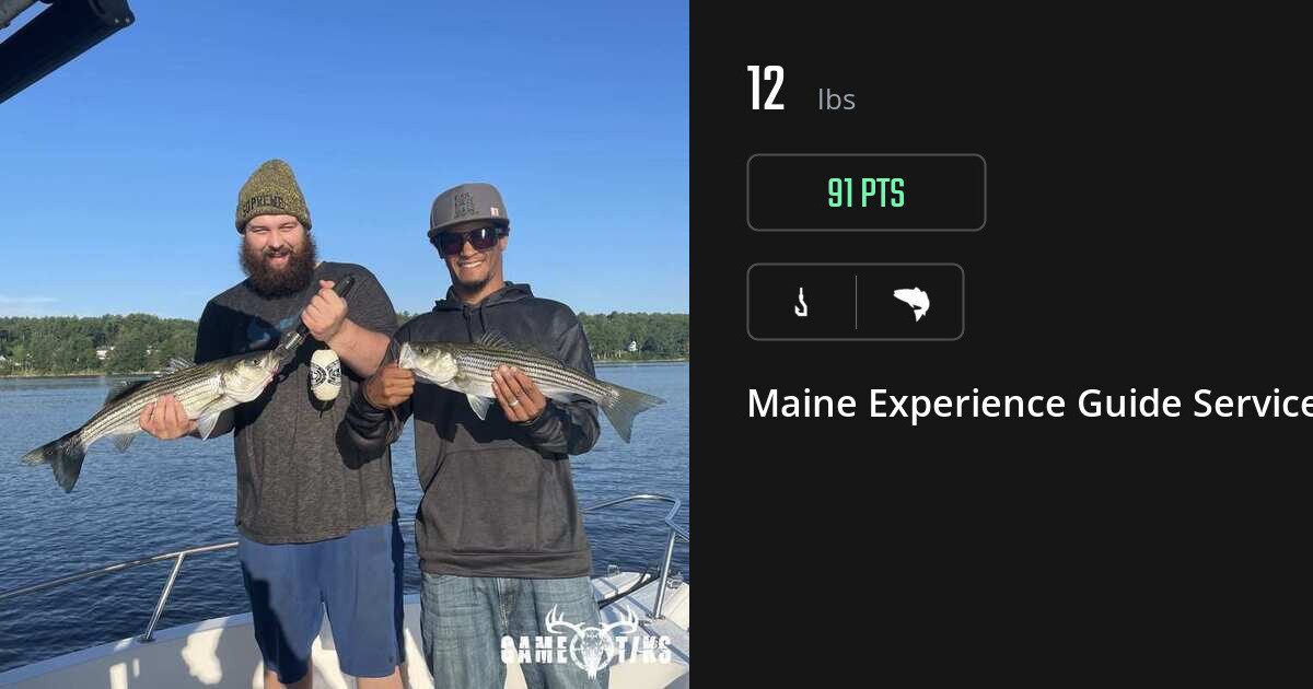 Saltwater fish harvest on Gametiks