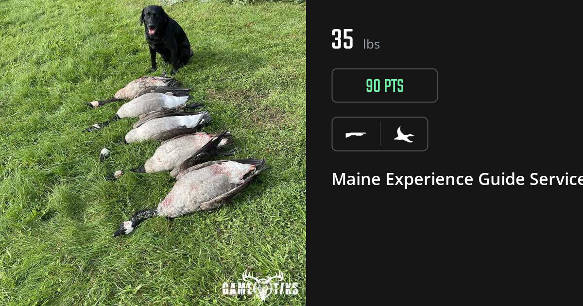 Waterfowl harvest on Gametiks