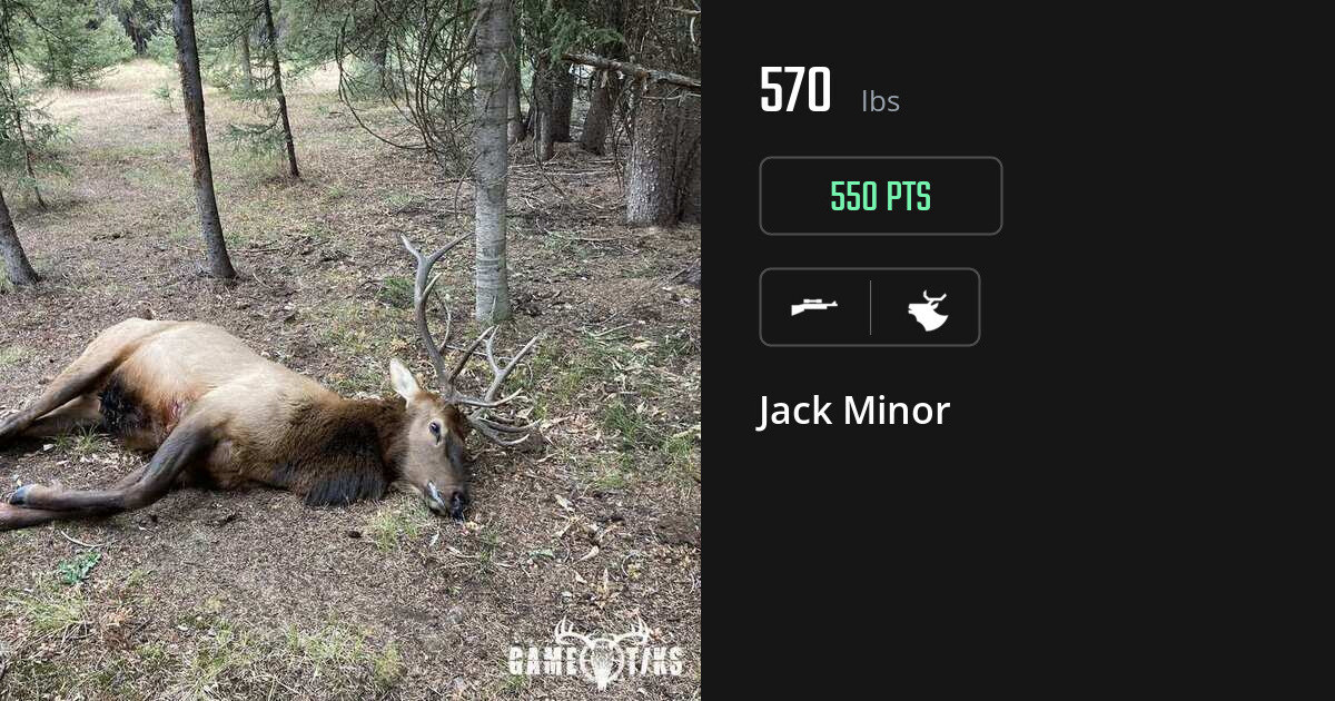 elk harvest by Jack Minor