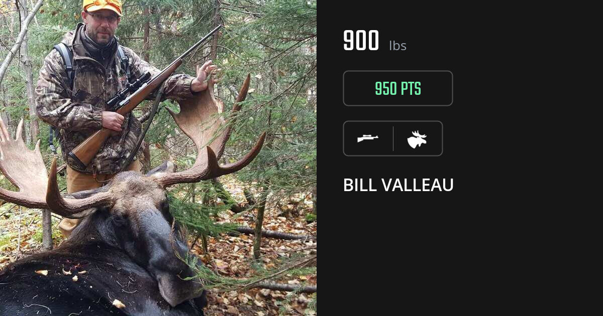 Moose harvest on Gametiks